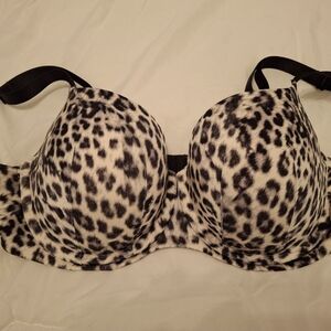 Leopard Print Women's Bra